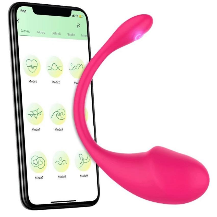 Hot-Selling App Wireless Remote Clit Stimulation Vibrator Panty Female Masturbator Adult Products Sex Toys for Women